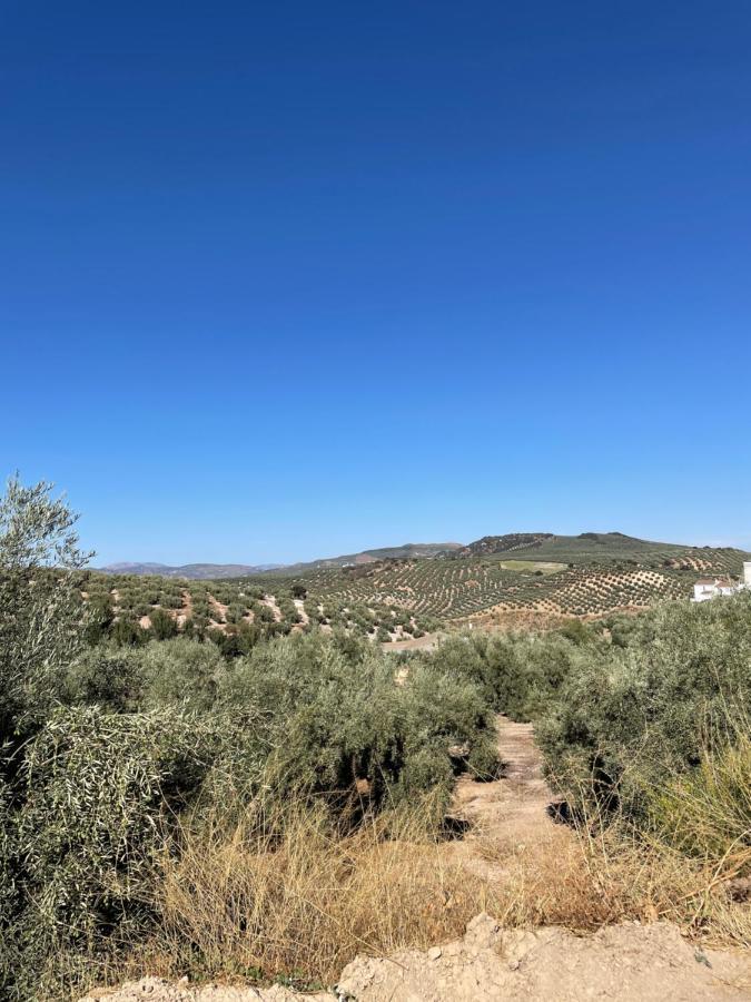 Lafrenchtouch - Relajate Y Desconecta Al Pueblo Villa Villanueva de Tapia Bagian luar foto